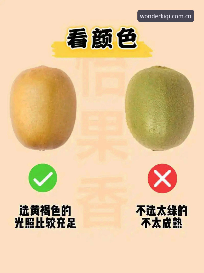 奇异果APP怎么用攻略 奇异果APP怎么用攻略:新手入门vs老手进阶,哪个更适合你?